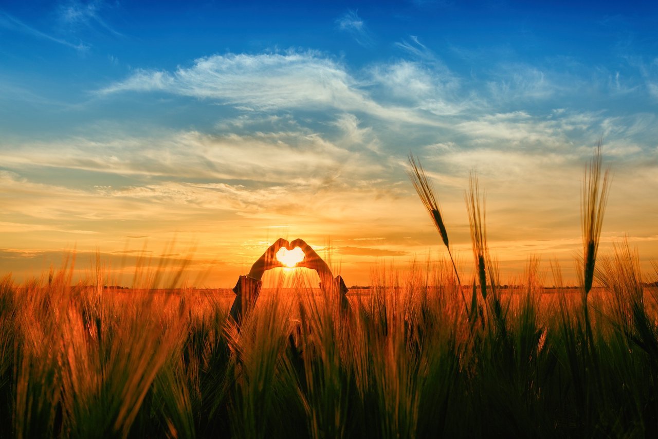 person holding hands together in heart in grassy field at sunrise